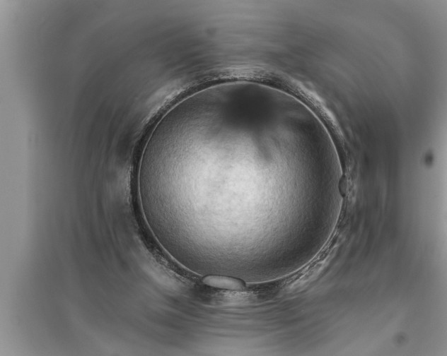 X0000095520154200712211310