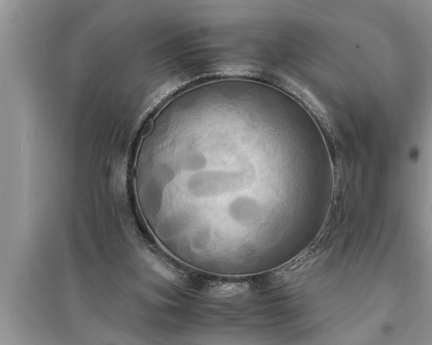 X0000095520155200712211310