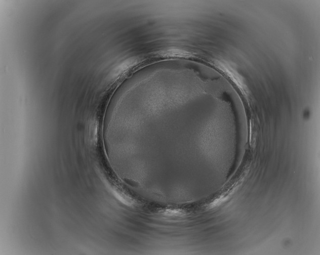 X0000095520157200712211311