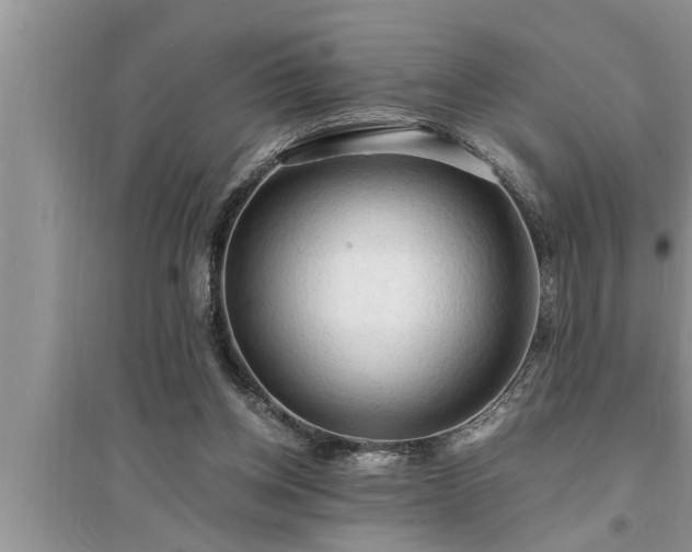 X0000095520158200712211311