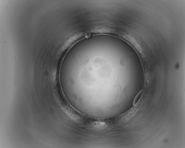 X0000095520159200712211311