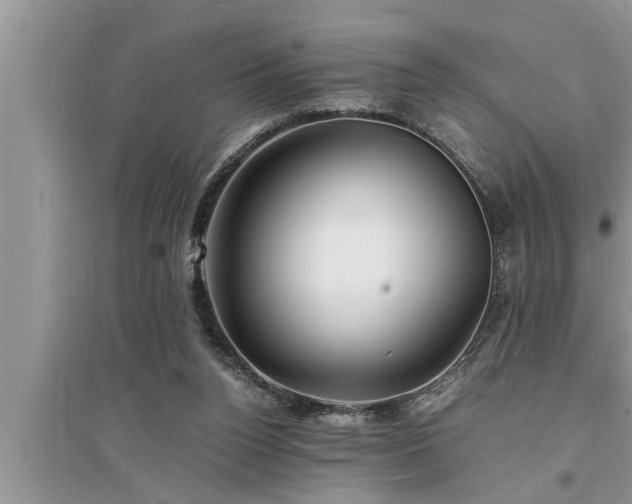 X0000095520160200712211311