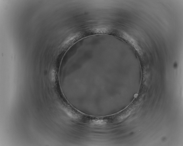 X0000095520161200712211311