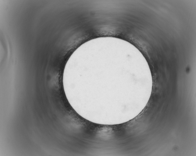 X0000095520162200712211311