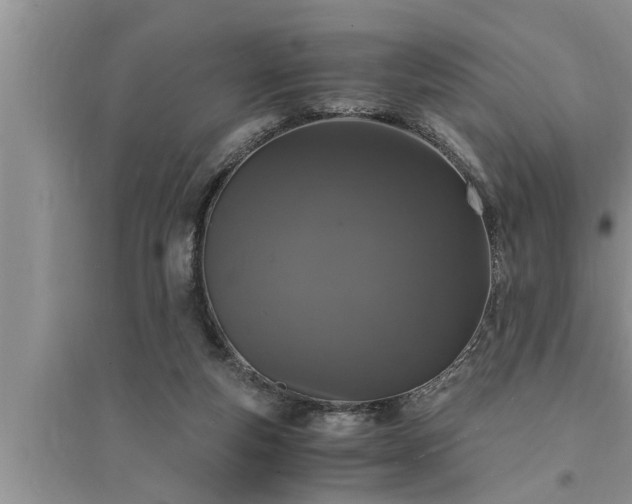 X0000095520163200712211311