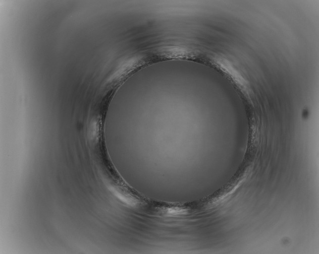 X0000095520165200712211311