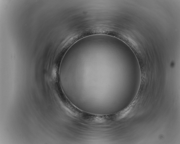 X0000095520166200712211311