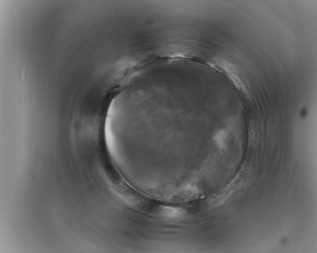 X0000095520167200712211311