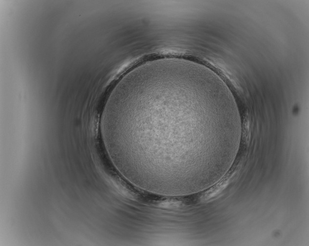 X0000095520168200712211311