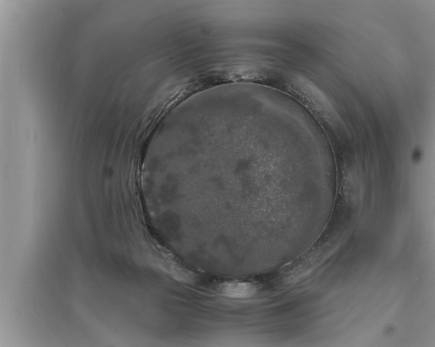 X0000095520169200712211311