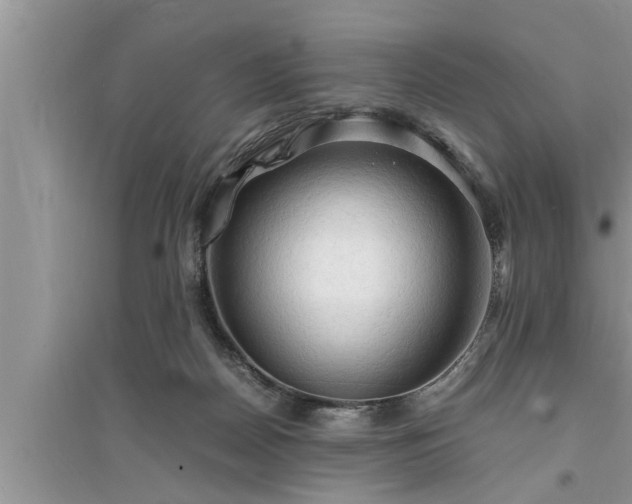 X0000095520170200712211311