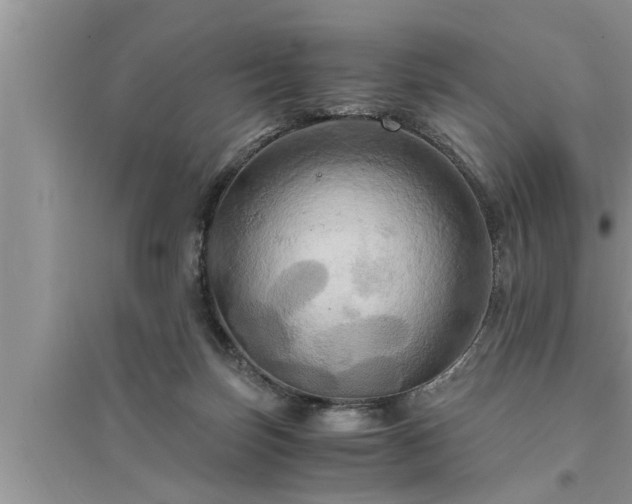 X0000095520171200712211311