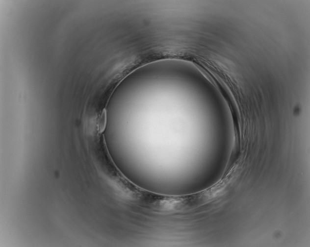 X0000095520172200712211311