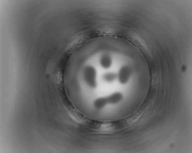 X0000095520173200712211311