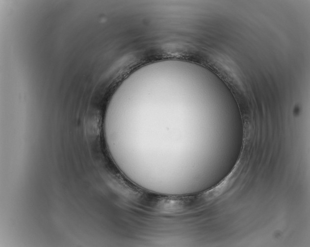 X0000095520174200712211311