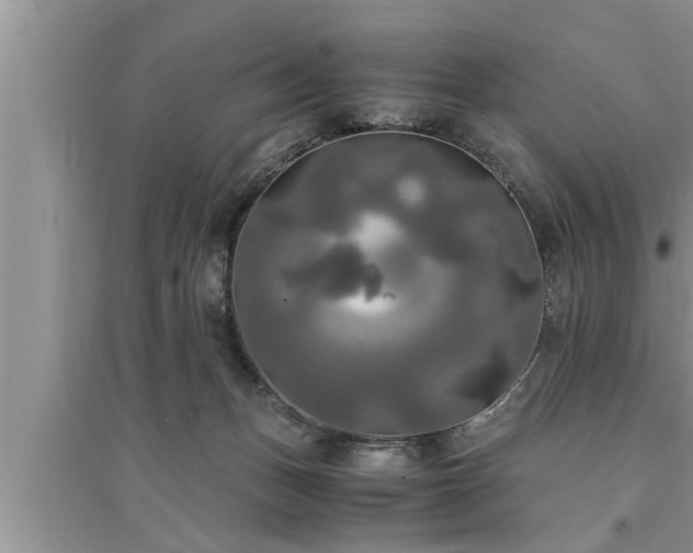 X0000095520175200712211311