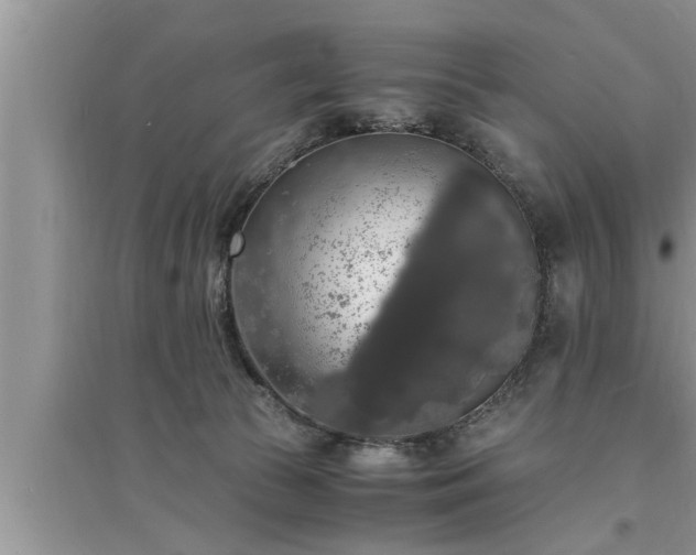 X0000095520177200712211311