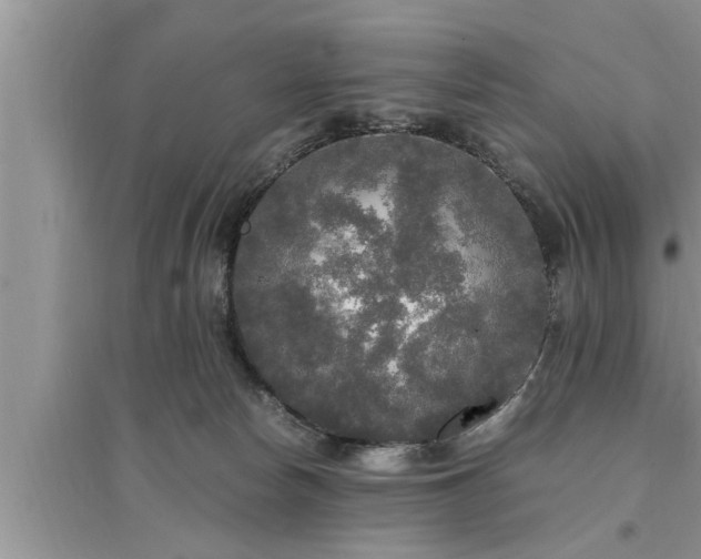 X0000095520178200712211311