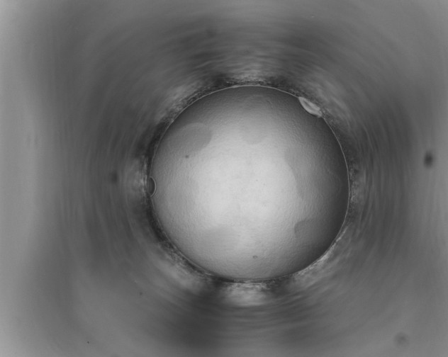 X0000095520179200712211311