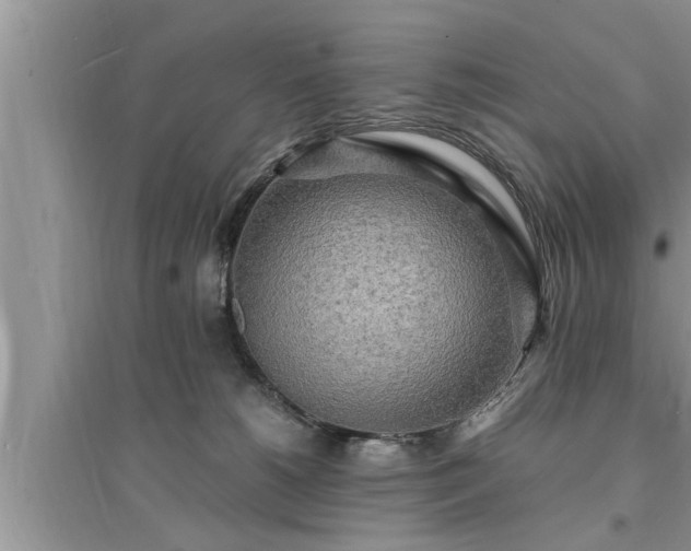 X0000095520180200712211311