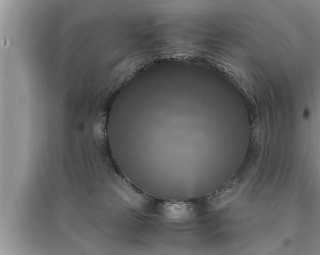 X0000095520181200712211311