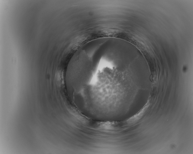 X0000095520182200712211311