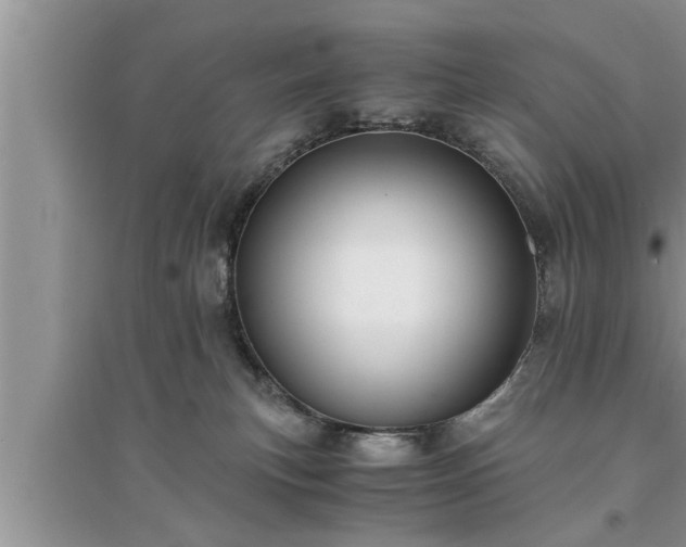 X0000095520183200712211311