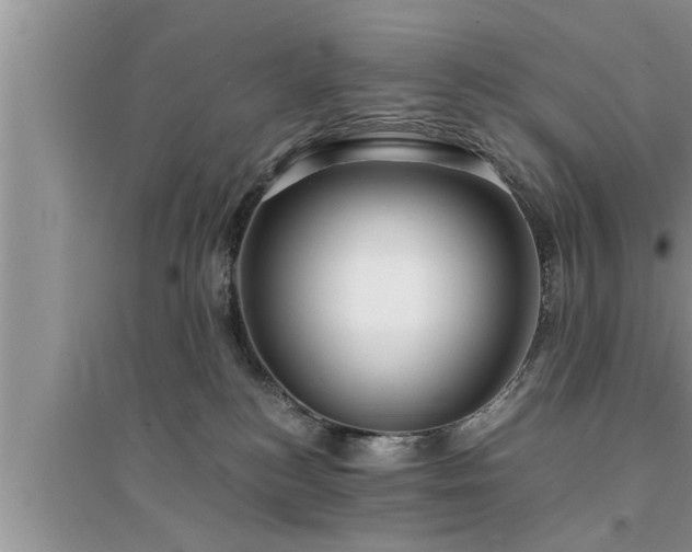 X0000095520184200712211311