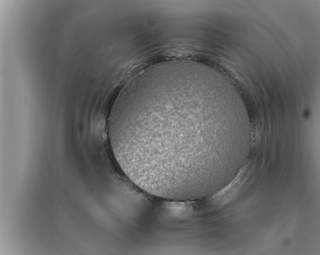 X0000095520187200712211311