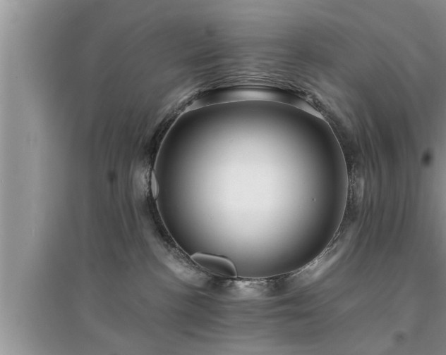 X0000095520188200712211311