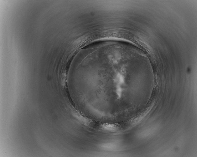 X0000095520189200712211311