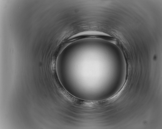 X0000095520190200712211311