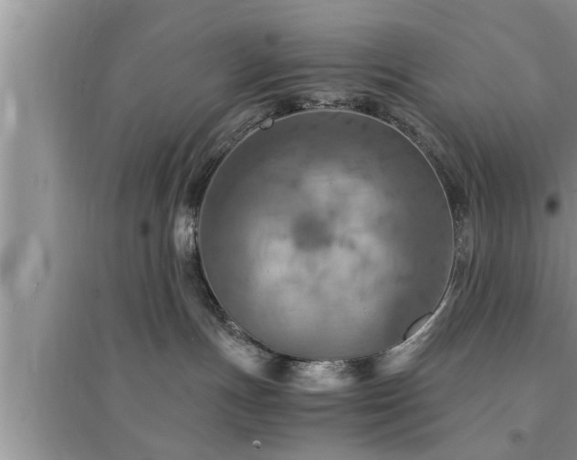 X0000095520191200712211311