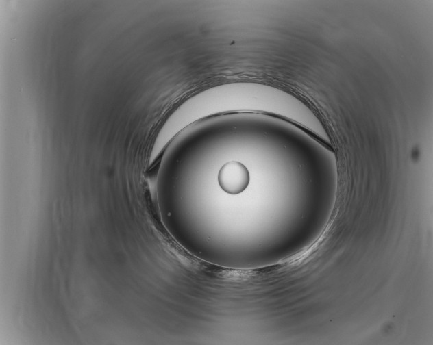 X0000095520192200712211311