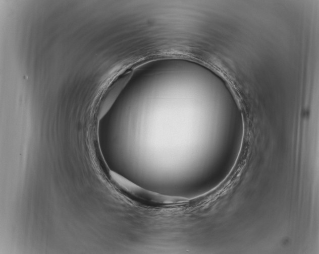 X0000095520193200712211310