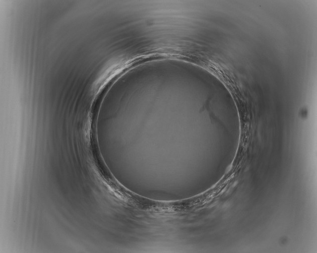 X0000095520194200712211310