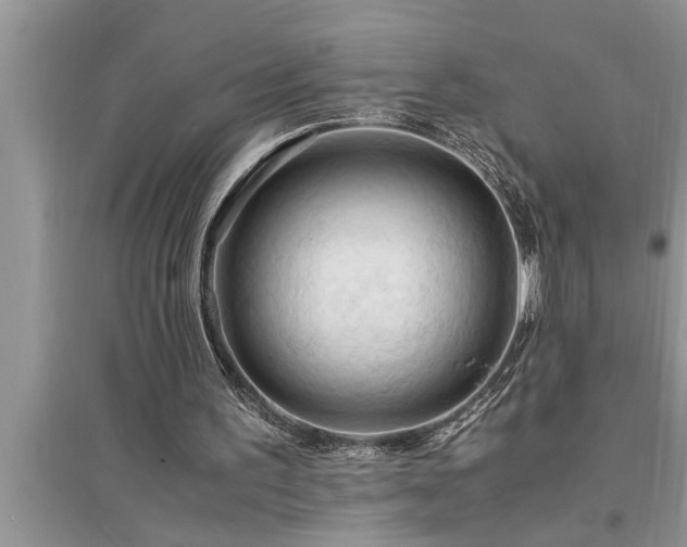 X0000095520195200712211310