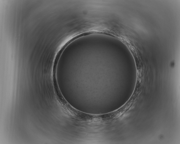 X0000095520196200712211310