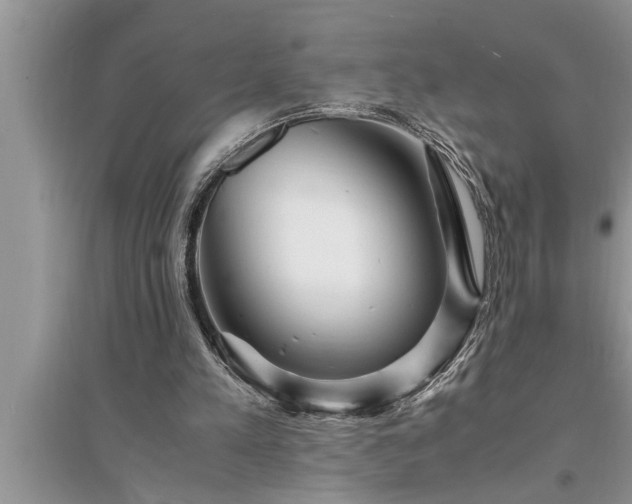 X0000095520197200712211310