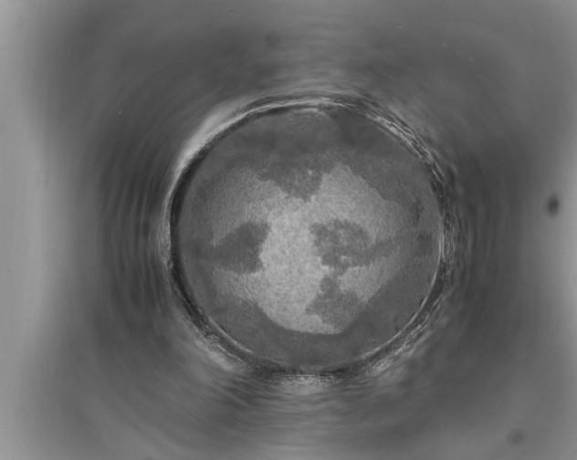 X0000095520198200712211310