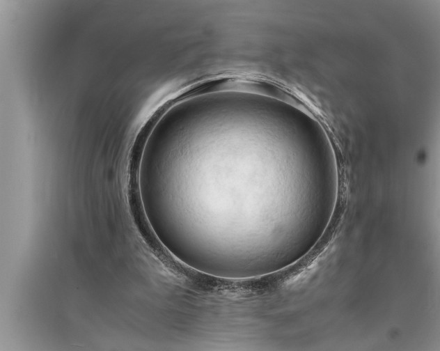 X0000095520199200712211310