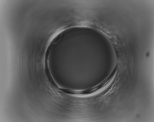 X0000095520200200712211310