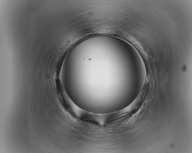 X0000095520201200712211310