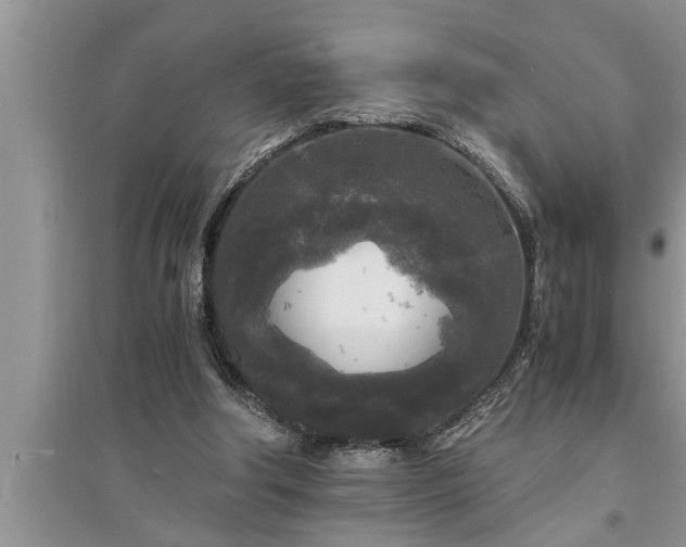 X0000095520202200712211310