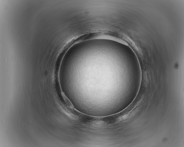 X0000095520203200712211310