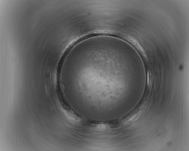 X0000095520204200712211310