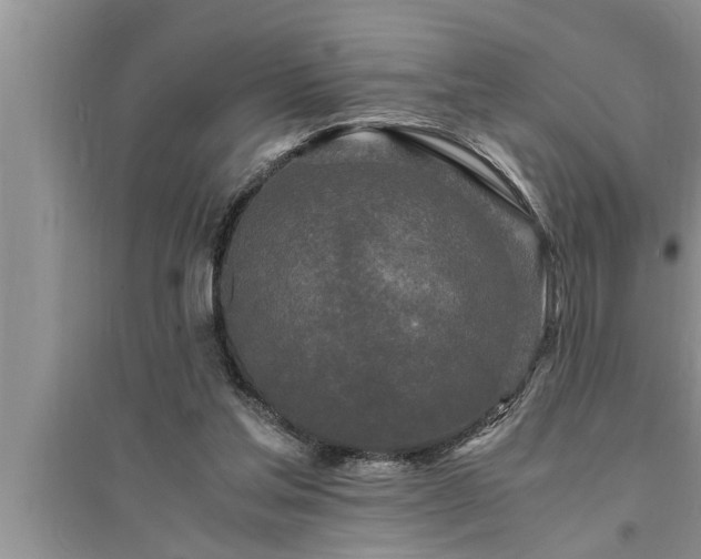 X0000095520205200712211310