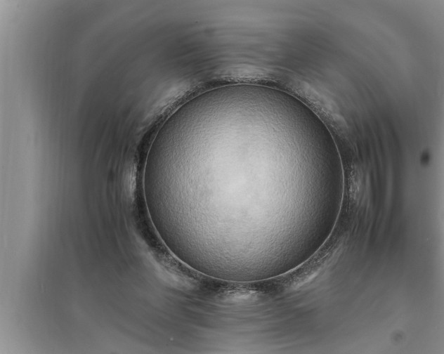 X0000095520206200712211310