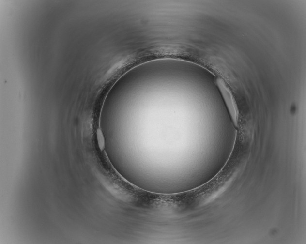 X0000095520207200712211310