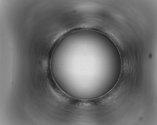 X0000095520208200712211310